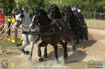Mezöhegyes 2018 - maraton