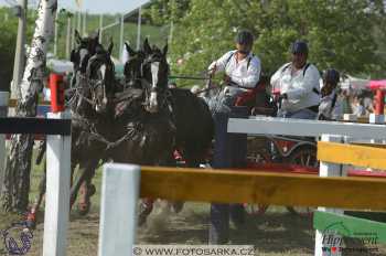 Mezöhegyes 2018 - maraton