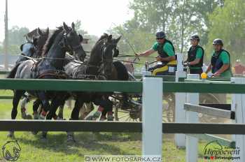Mezöhegyes 2018 - maraton