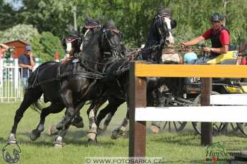 Mezöhegyes 2018 - maraton