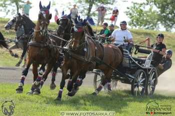 Mezöhegyes 2018 - maraton