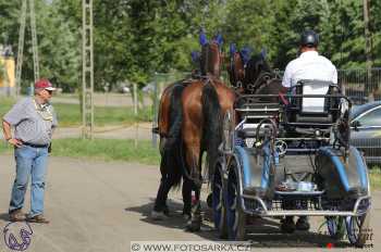 Mezöhegyes 2018 - maraton
