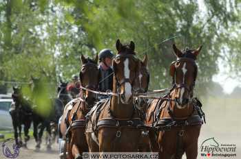 Mezöhegyes 2018 - maraton