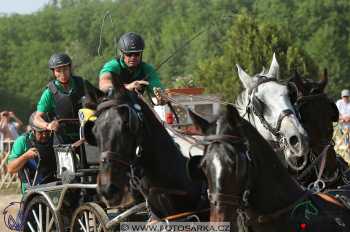 Mezöhegyes 2018 - maraton