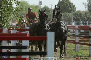 Mezöhegyes 2018 - maraton
