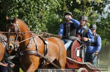 Mezöhegyes 2018 - maraton