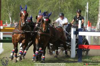 Mezöhegyes 2018 - maraton