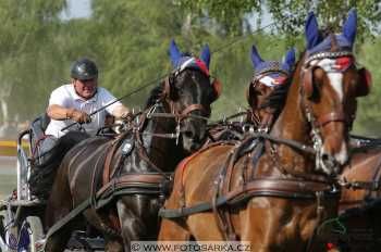 Mezöhegyes 2018 - maraton