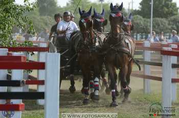 Mezöhegyes 2018 - maraton
