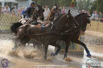 Mezöhegyes 2018 - maraton