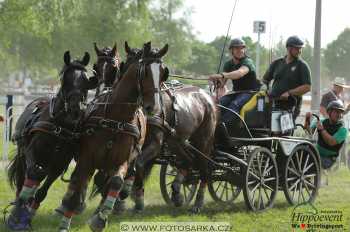 Mezöhegyes 2018 - maraton