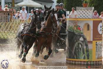 Mezöhegyes 2018 - maraton
