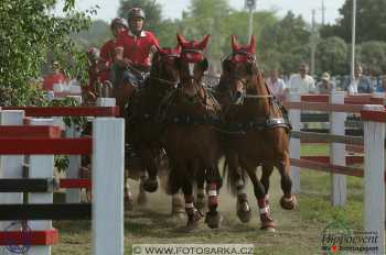 Mezöhegyes 2018 - maraton