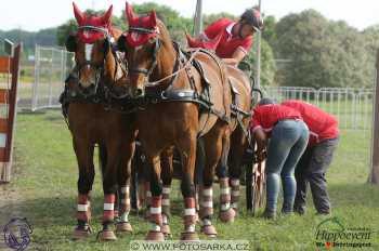 Mezöhegyes 2018 - maraton