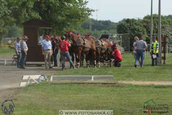 Mezöhegyes 2018 - maraton