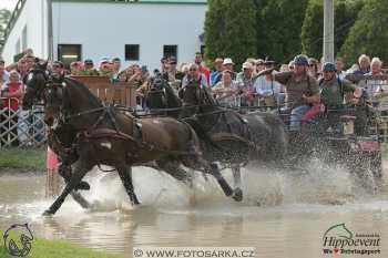 Mezöhegyes 2018 - maraton