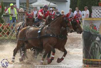 Mezöhegyes 2018 - maraton