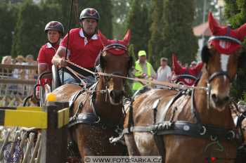 Mezöhegyes 2018 - maraton