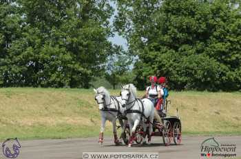 Mezöhegyes 2018 - maraton