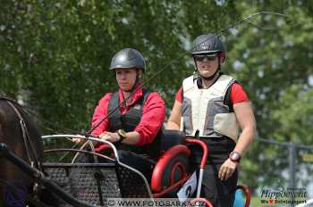 Mezöhegyes 2018 - maraton