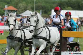 Mezöhegyes 2018 - maraton
