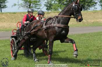 Mezöhegyes 2018 - maraton