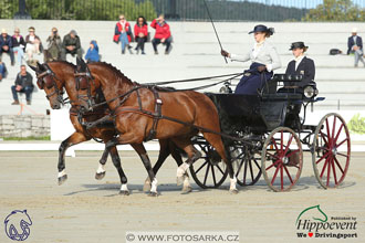 MS 2 Lipica 2017 - drezury