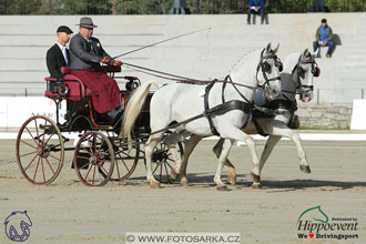 MS 2 Lipica 2017 - drezury