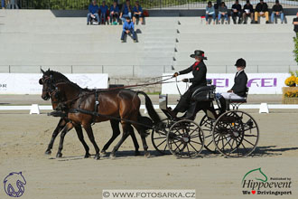 MS 2 Lipica 2017 - drezury