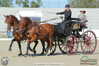 MS 2 Lipica 2017 - drezury