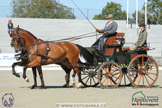 MS 2 Lipica 2017 - drezury