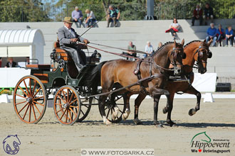 MS 2 Lipica 2017 - drezury