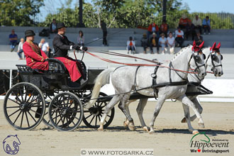 MS 2 Lipica 2017 - drezury