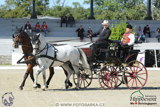 MS 2 Lipica 2017 - drezury