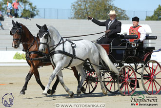 MS 2 Lipica 2017 - drezury