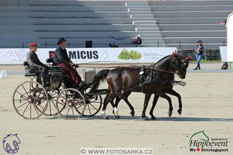 MS 2 Lipica 2017 - drezury