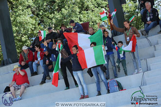 MS 2 Lipica 2017 - drezury