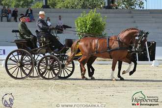 MS 2 Lipica 2017 - drezury