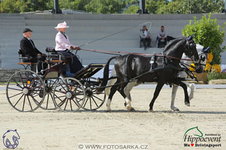 MS 2 Lipica 2017 - drezury