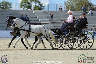 MS 2 Lipica 2017 - drezury