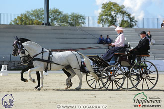 MS 2 Lipica 2017 - drezury