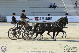 MS 2 Lipica 2017 - drezury