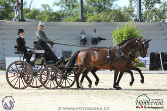 MS 2 Lipica 2017 - drezury