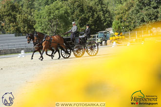 MS 2 Lipica 2017 - drezury