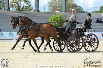 MS 2 Lipica 2017 - drezury