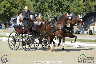 MS 2 Lipica 2017 - drezury