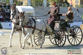 MS 2 Lipica 2017 - drezury