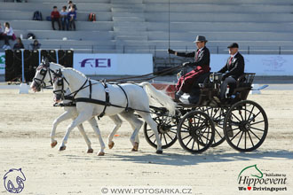 MS 2 Lipica 2017 - drezury