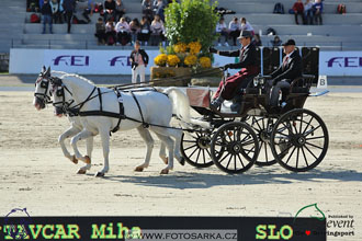 MS 2 Lipica 2017 - drezury