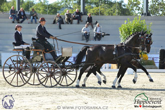 MS 2 Lipica 2017 - drezury